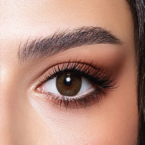 Brown Shadow - Diamond - Bella, Bella OPTICS -- Julia Lenses Store - Egypt - Bella, Bella OPTICS