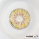 Urban-Layer Cleopatra Gold urban layer colored contact lenses showing vibrant gold design in a close-up image.